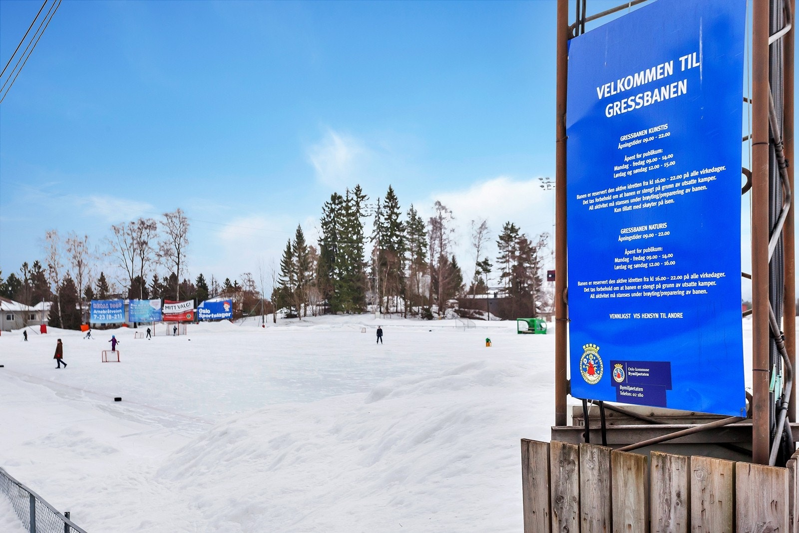 Gressbanen Galleribilde