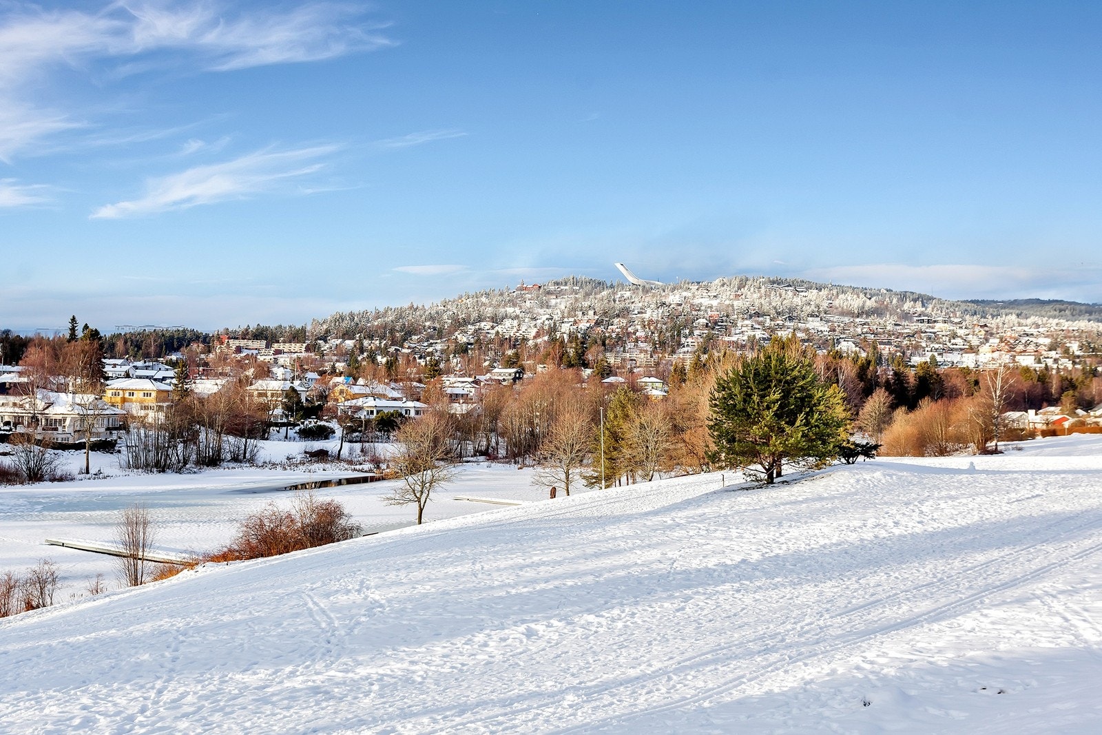 Holmendammen Galleribilde