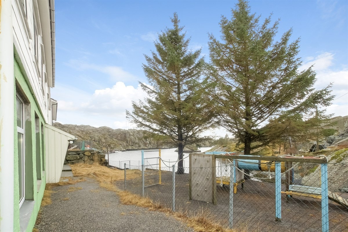 naeromrade Galleribilde