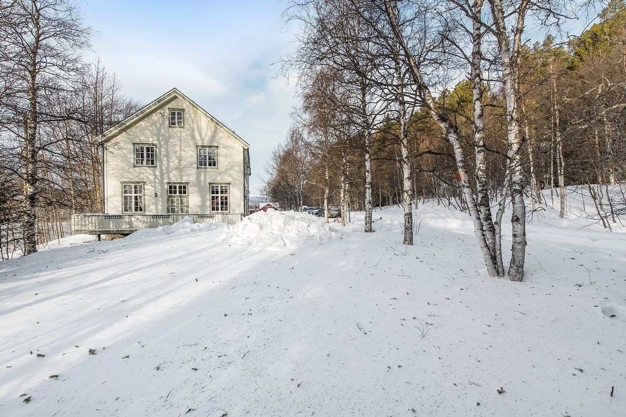 Stort hageareal. Galleribilde