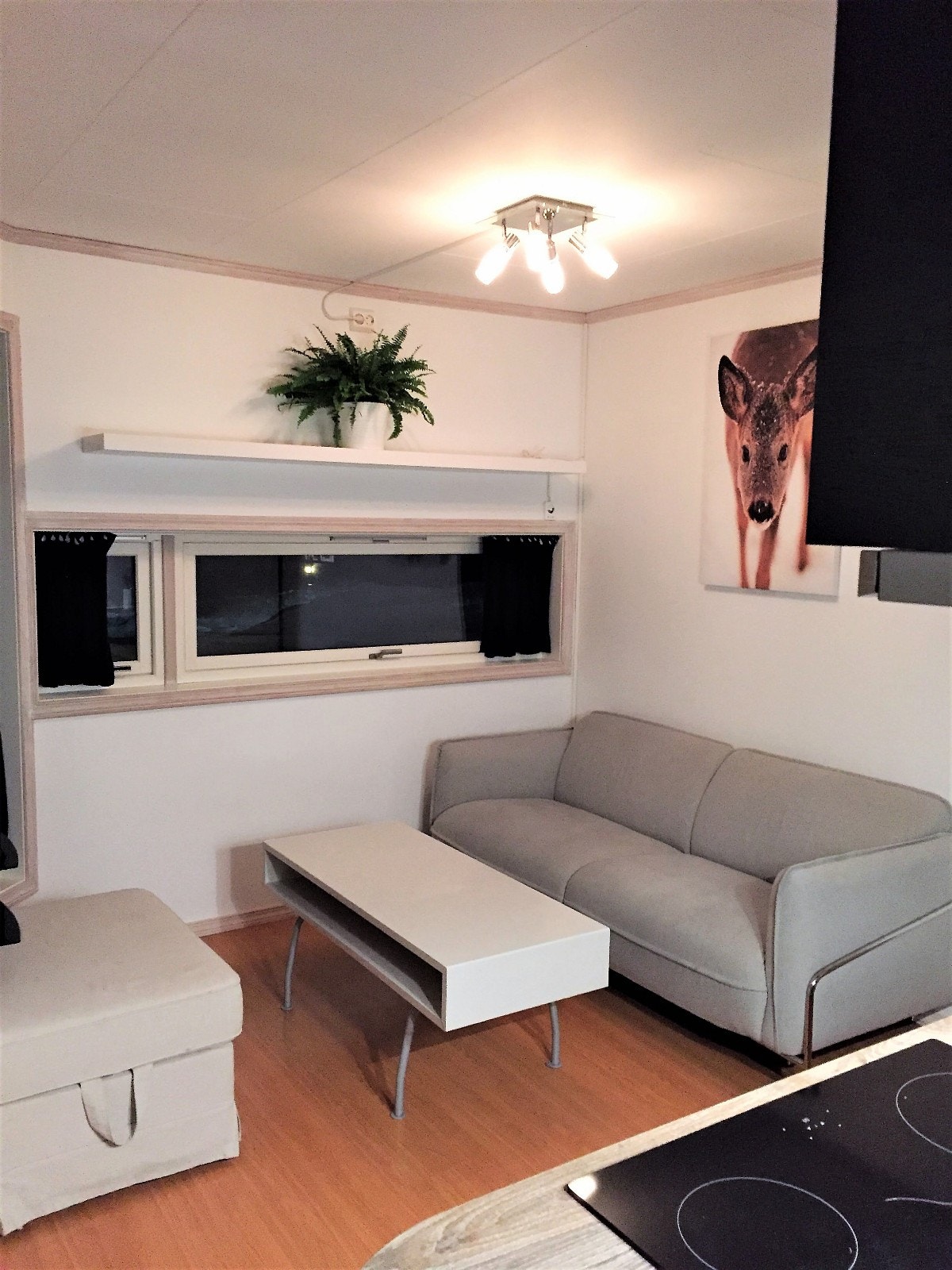 Stue med sofa og bord Galleribilde