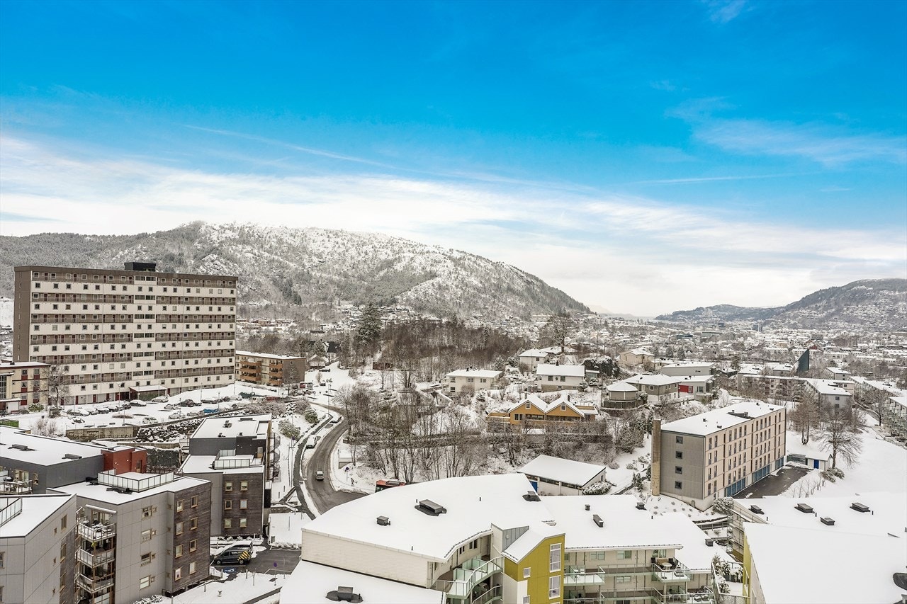 I nærområdet finner du alt av butikk, barnehager og idrettsanlegg. Galleribilde