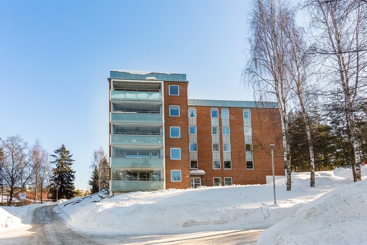 Fasaden er forblendet med teglstein, samt malte panelte overflater på terrasser. Galleribilde