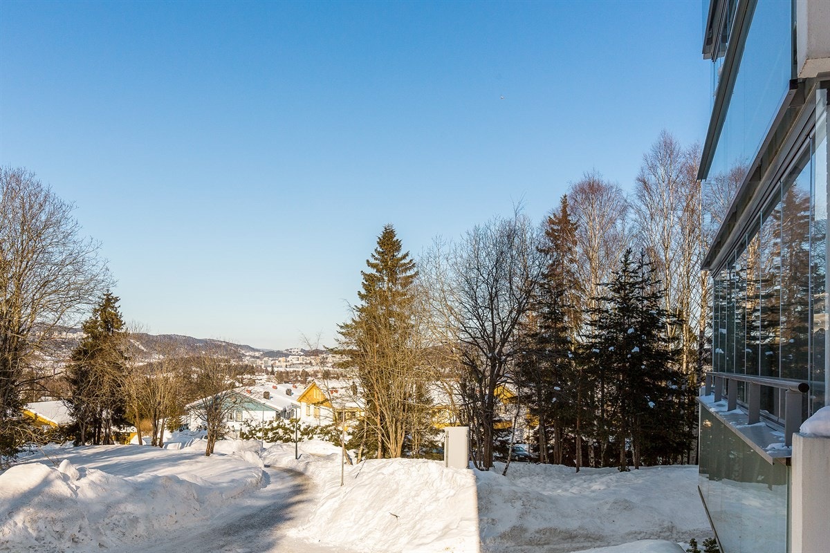 Meget gode solforhold på balkongen. Galleribilde