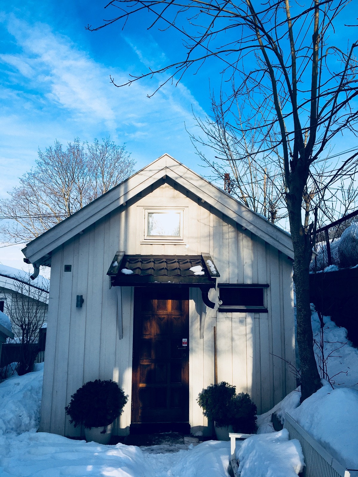 Anneks vinter Galleribilde