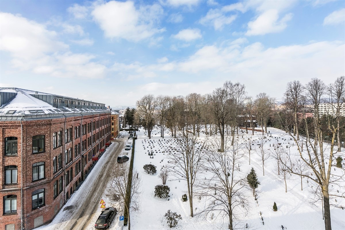 Utsikt. Galleribilde