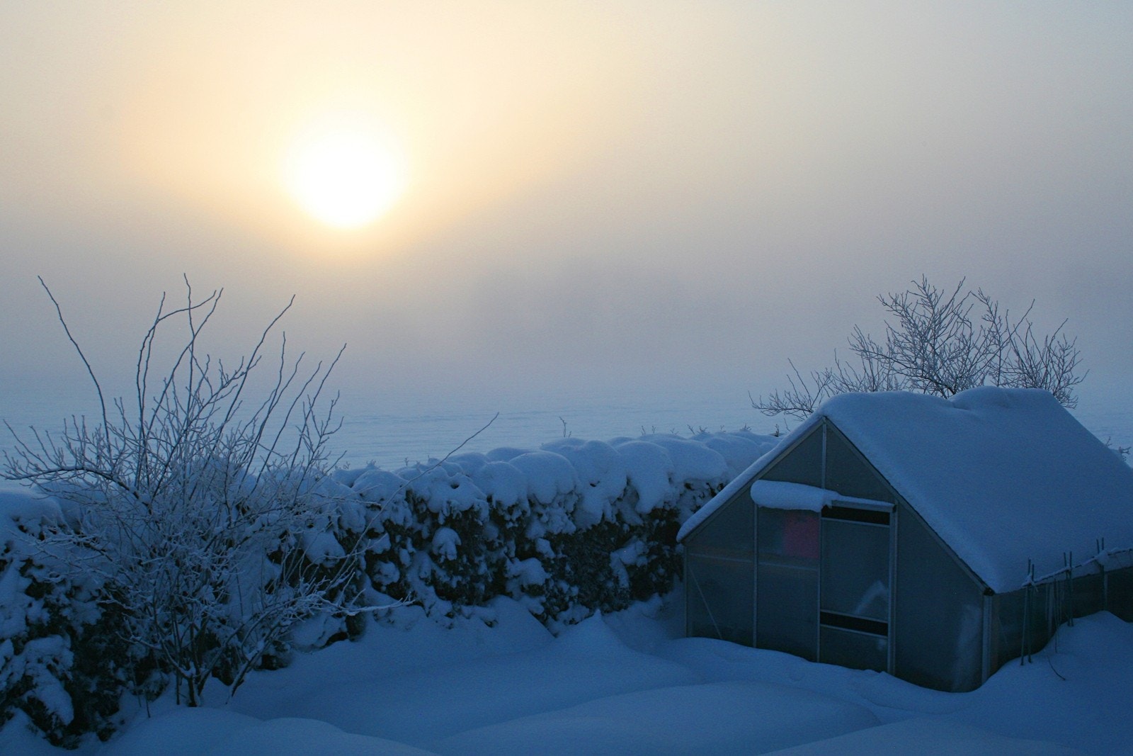 Eiendommen grenser til omkringliggende jorder og har lite innsyn Galleribilde