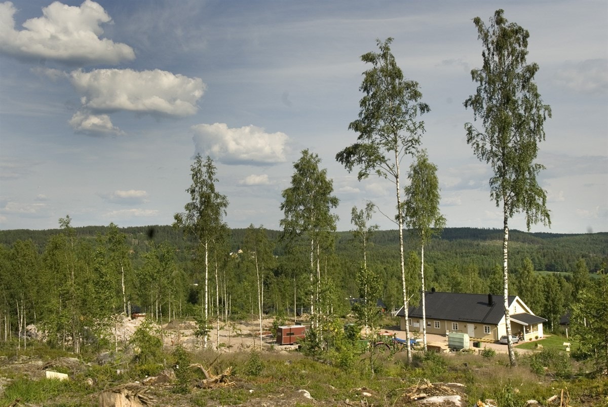 Skuraas2 Galleribilde