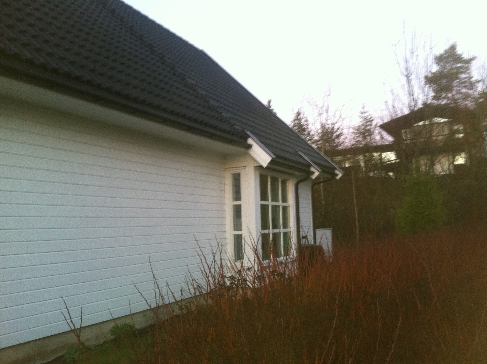 Karnapp Galleribilde