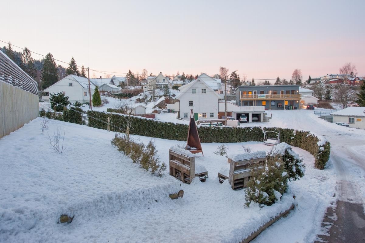 Hage - vinter Galleribilde