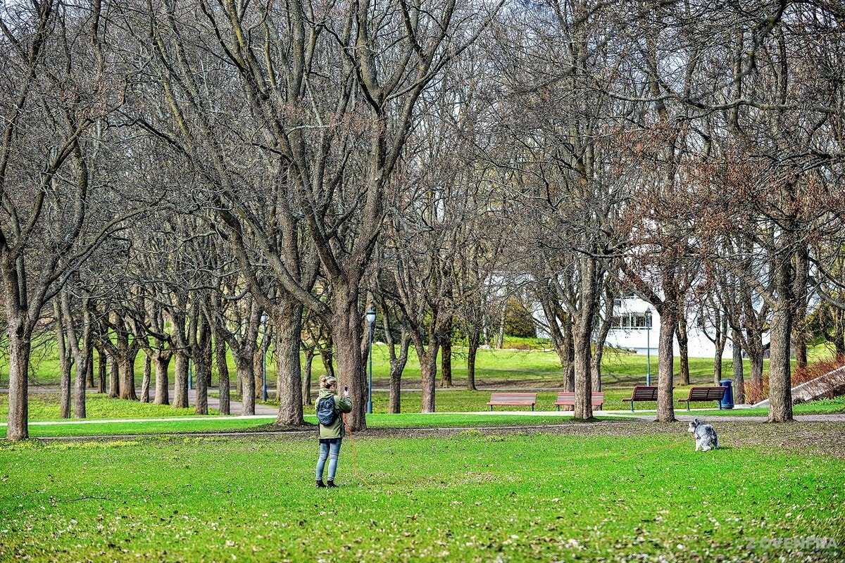 Frogner Galleribilde