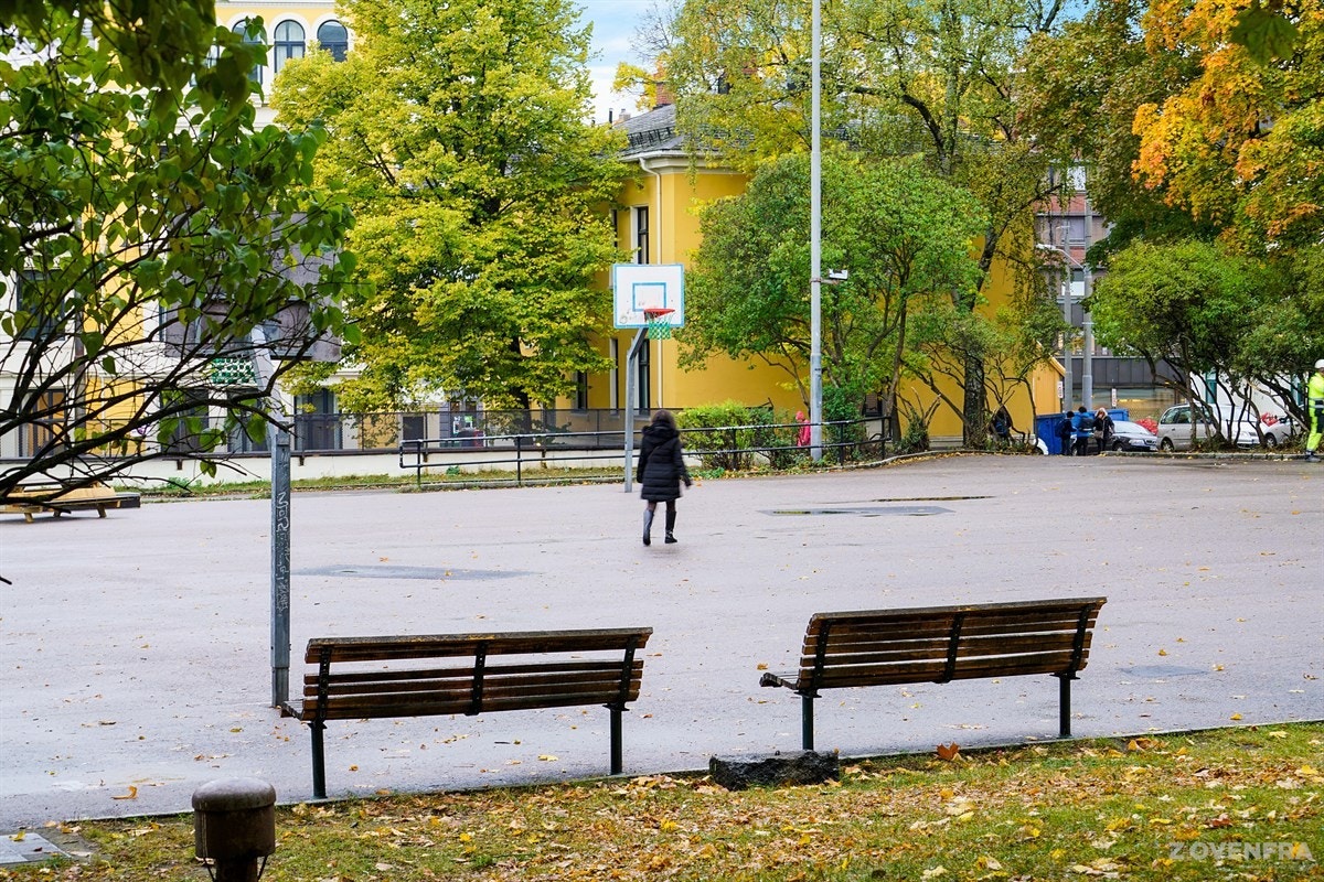 Frogner Galleribilde