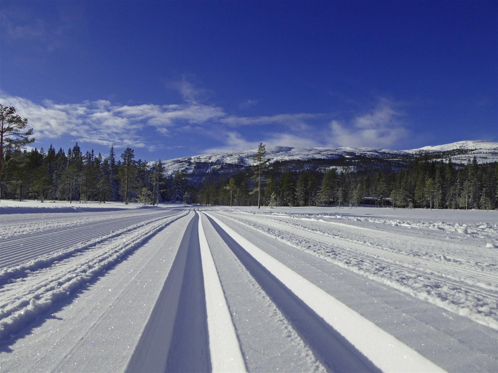 På Vikerfjell er det milevis med skiløyper. Galleribilde
