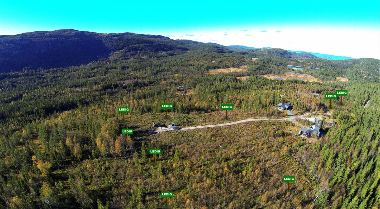 Kolledalen. Galleribilde