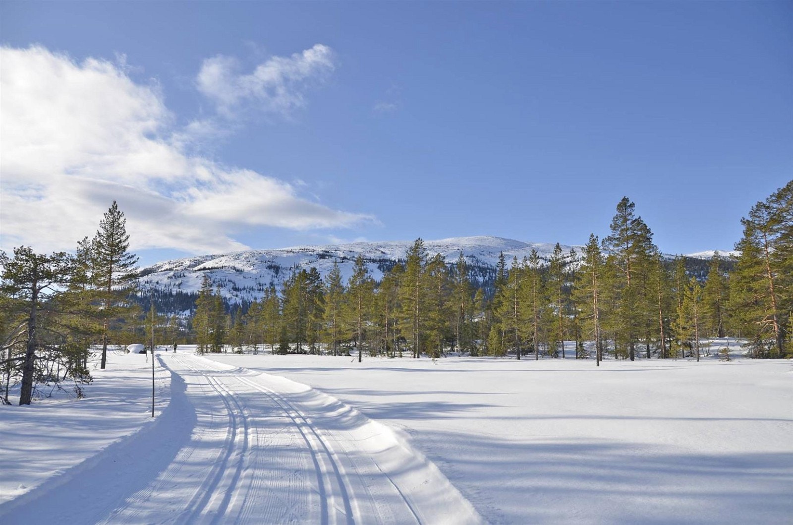 Velkommen til idylliske Vikerfjell/Elsrud!
Her finner du blant annet 10 mil preparerte skiløyper rett i nærheten av tomteområdet. Galleribilde