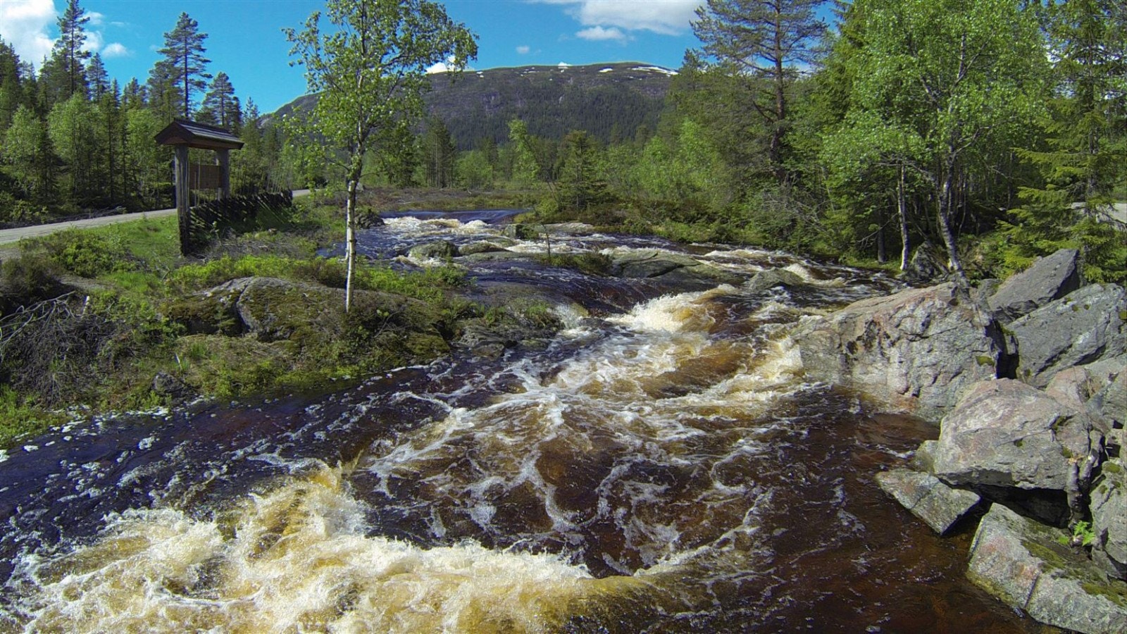 Våren i anmarsj på Vikerfjell. Galleribilde