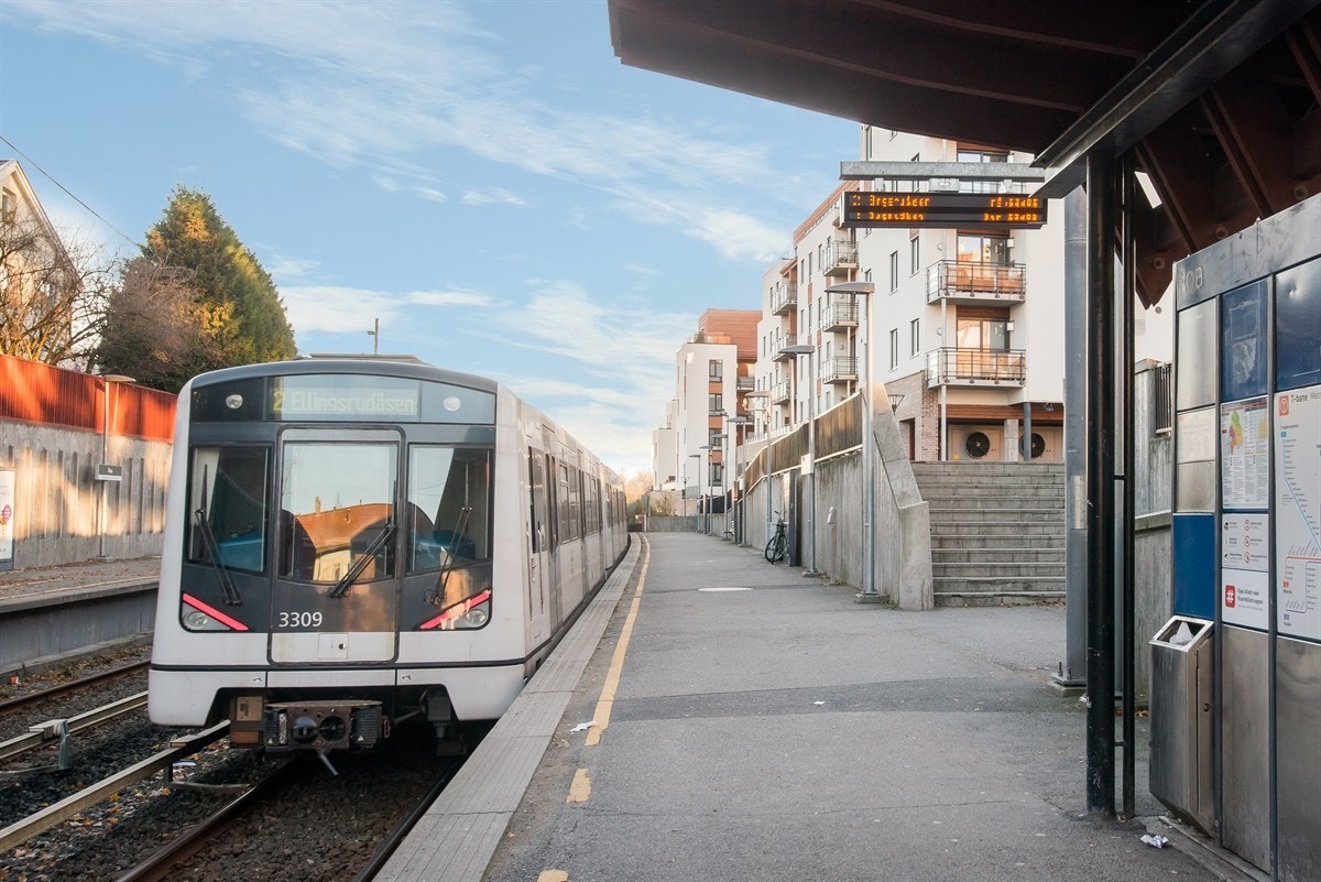 Nærområde. Galleribilde