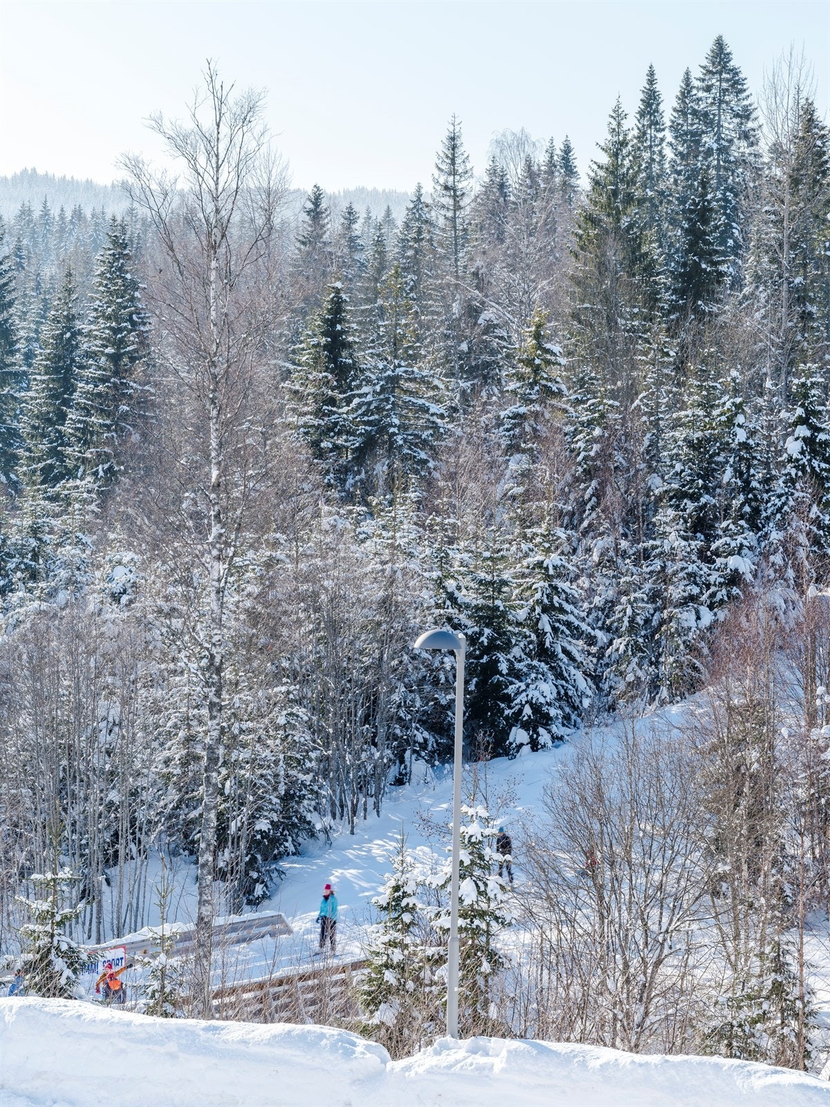 Her kan du se skiløypene. Galleribilde