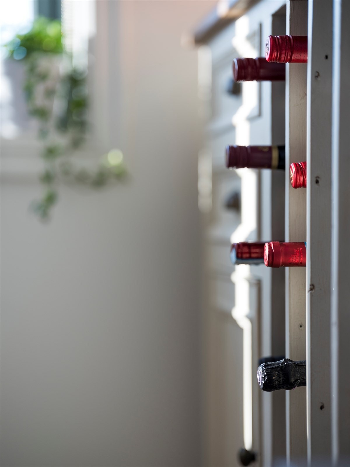 Detalj vinhylle. Galleribilde