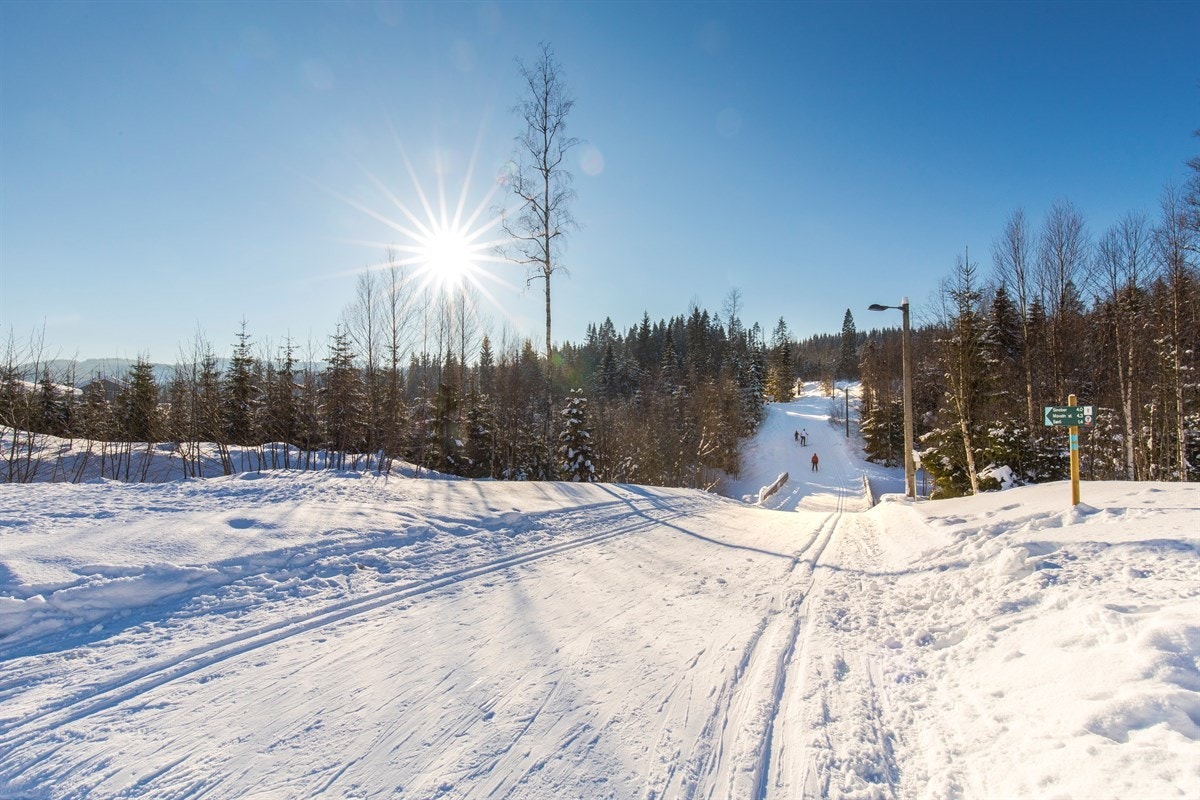 Skiløypene går rett utenfor døra. Galleribilde