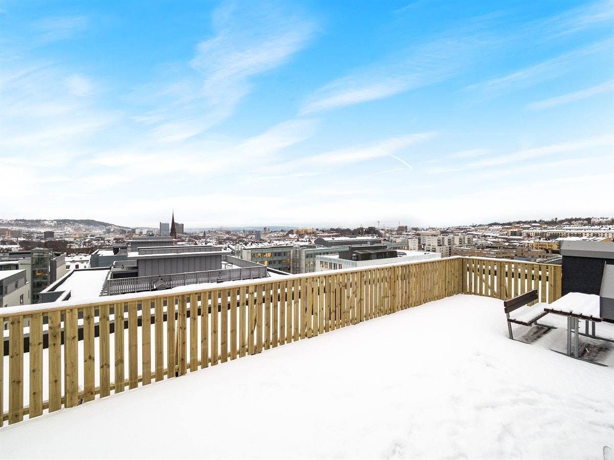 Felles takterrasse Galleribilde
