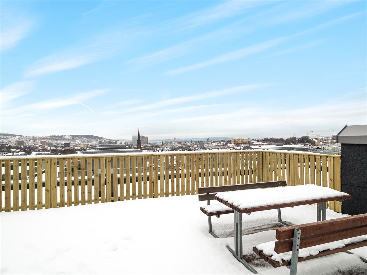 Stor felles takterrasse på bygget med 360 graders utsikt. Galleribilde