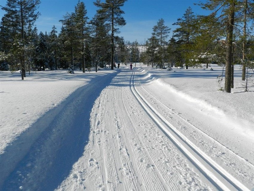 Fine preparerte langrennsløyper Galleribilde