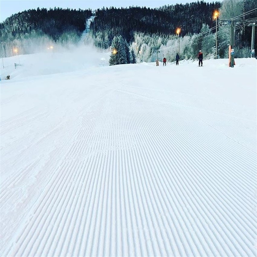 Nypreppa skibakke Galleribilde