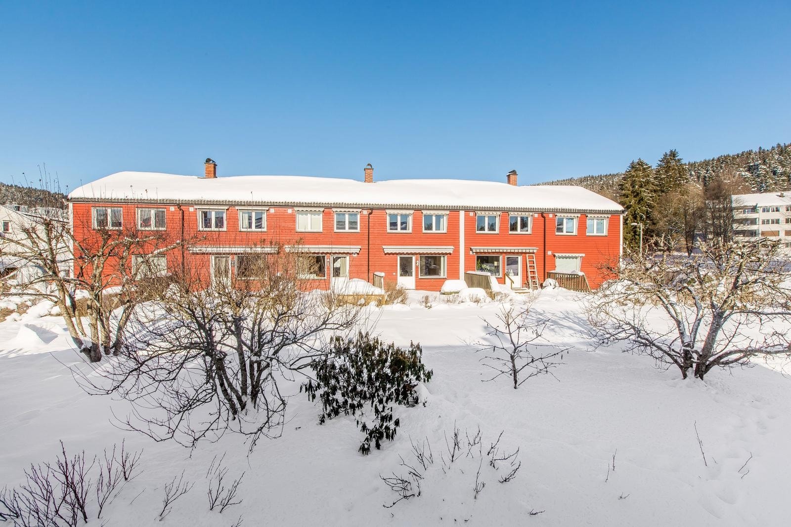 Utgang fra terrassen til felles hage med fruktrær og bærbusker Galleribilde