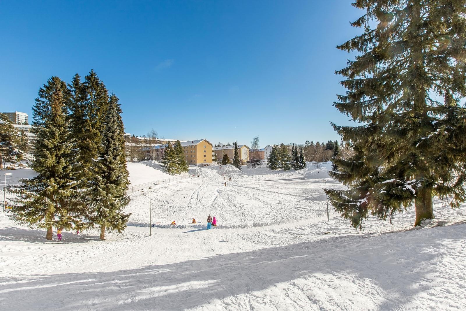Herlige badedammen, med akebakker om vinteren og badevann om sommeren. Galleribilde