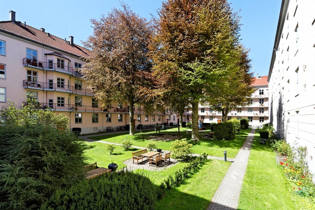 Koselig bakgård Galleribilde