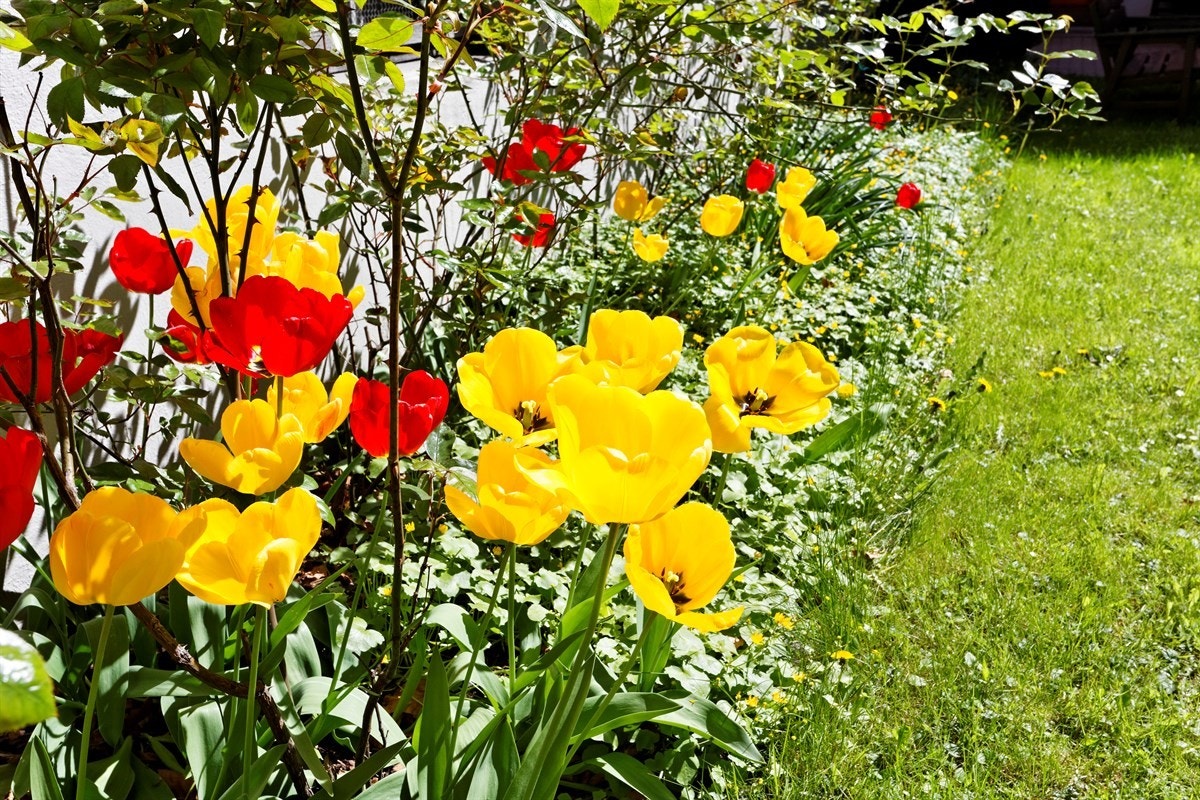 Detaljer Galleribilde