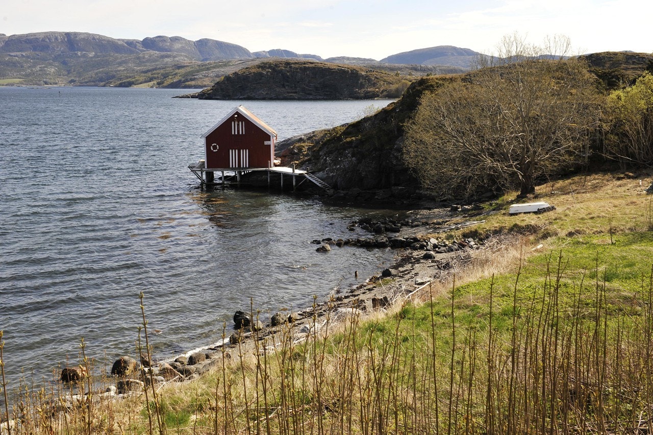Naustrett i fjæresteinene Galleribilde