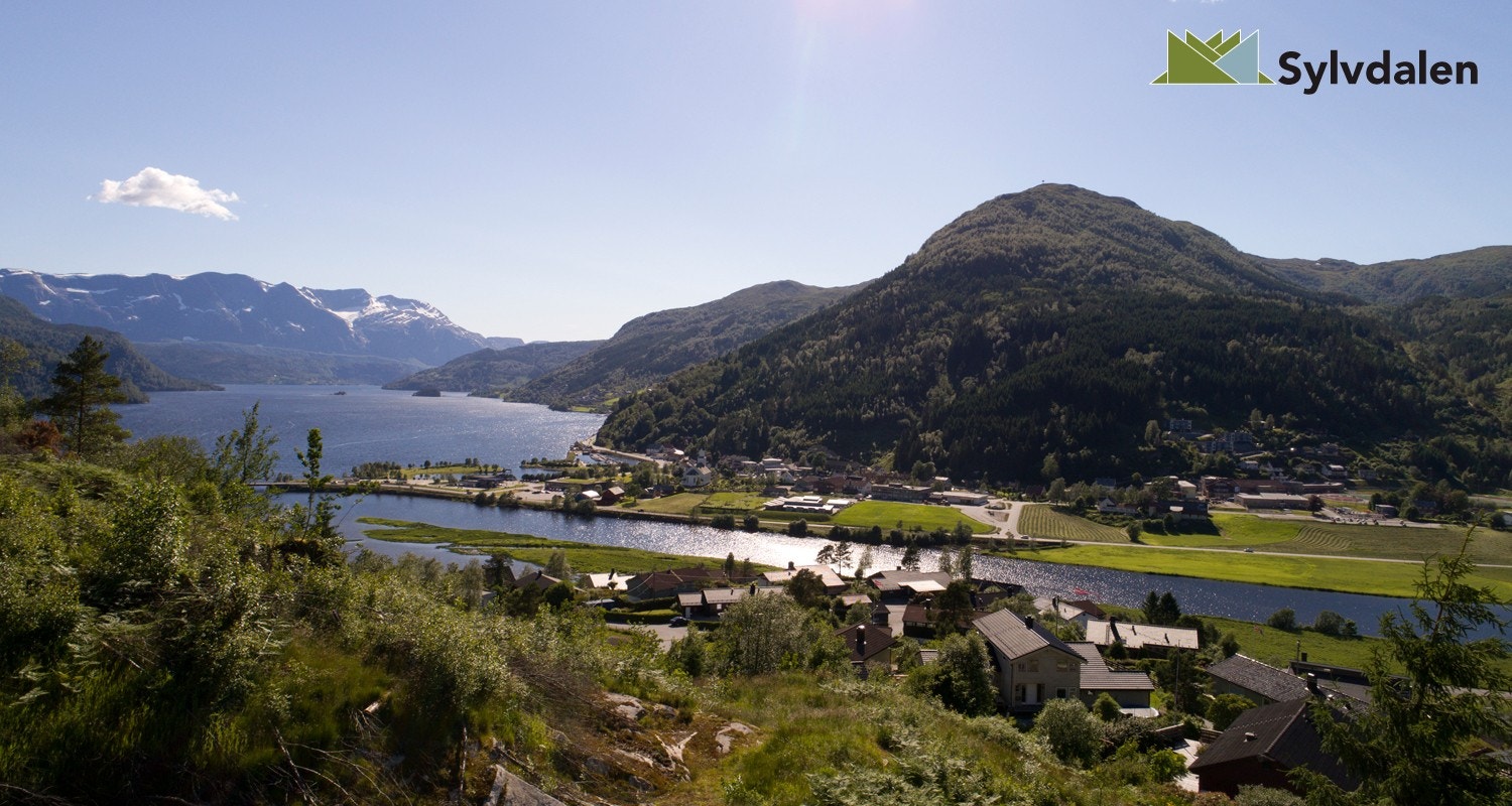 Bilde viser utsikten frå tomt 12 Galleribilde
