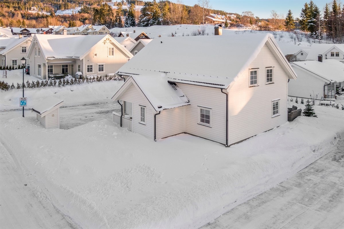 Fasade mot Ringkollen Galleribilde