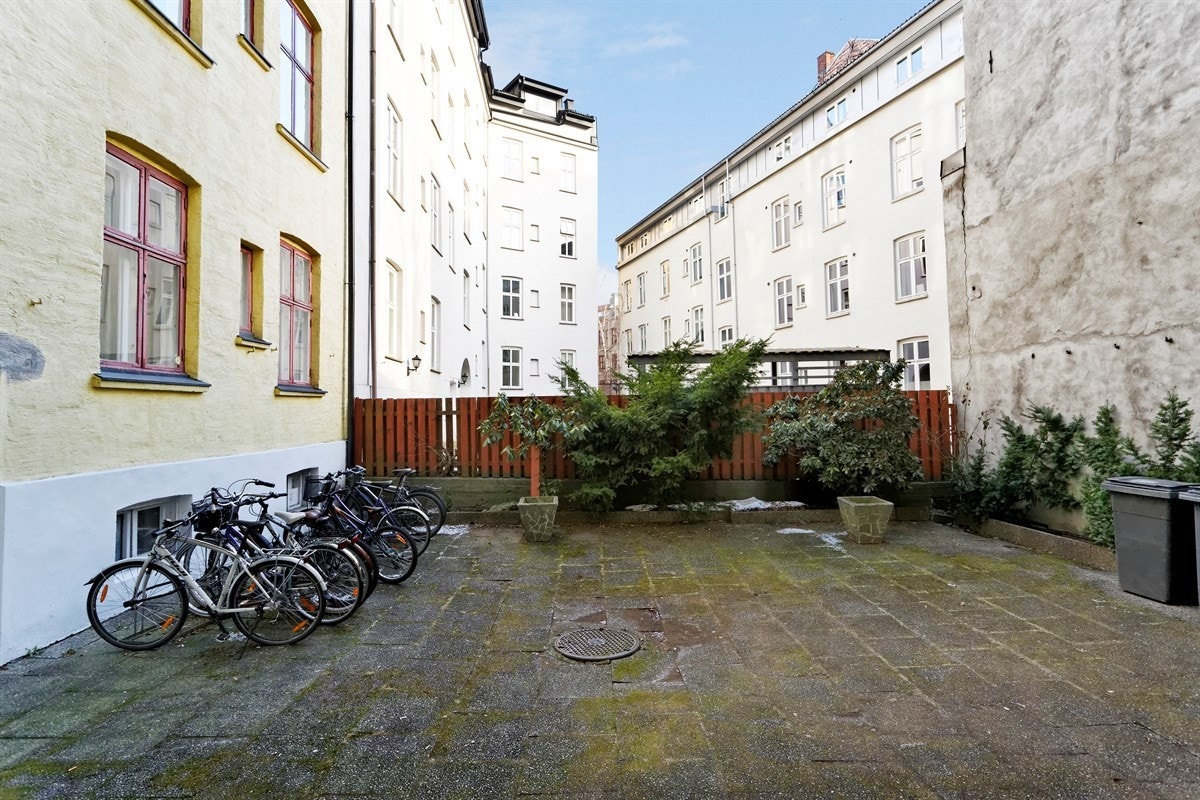 BAKGÅRD Galleribilde