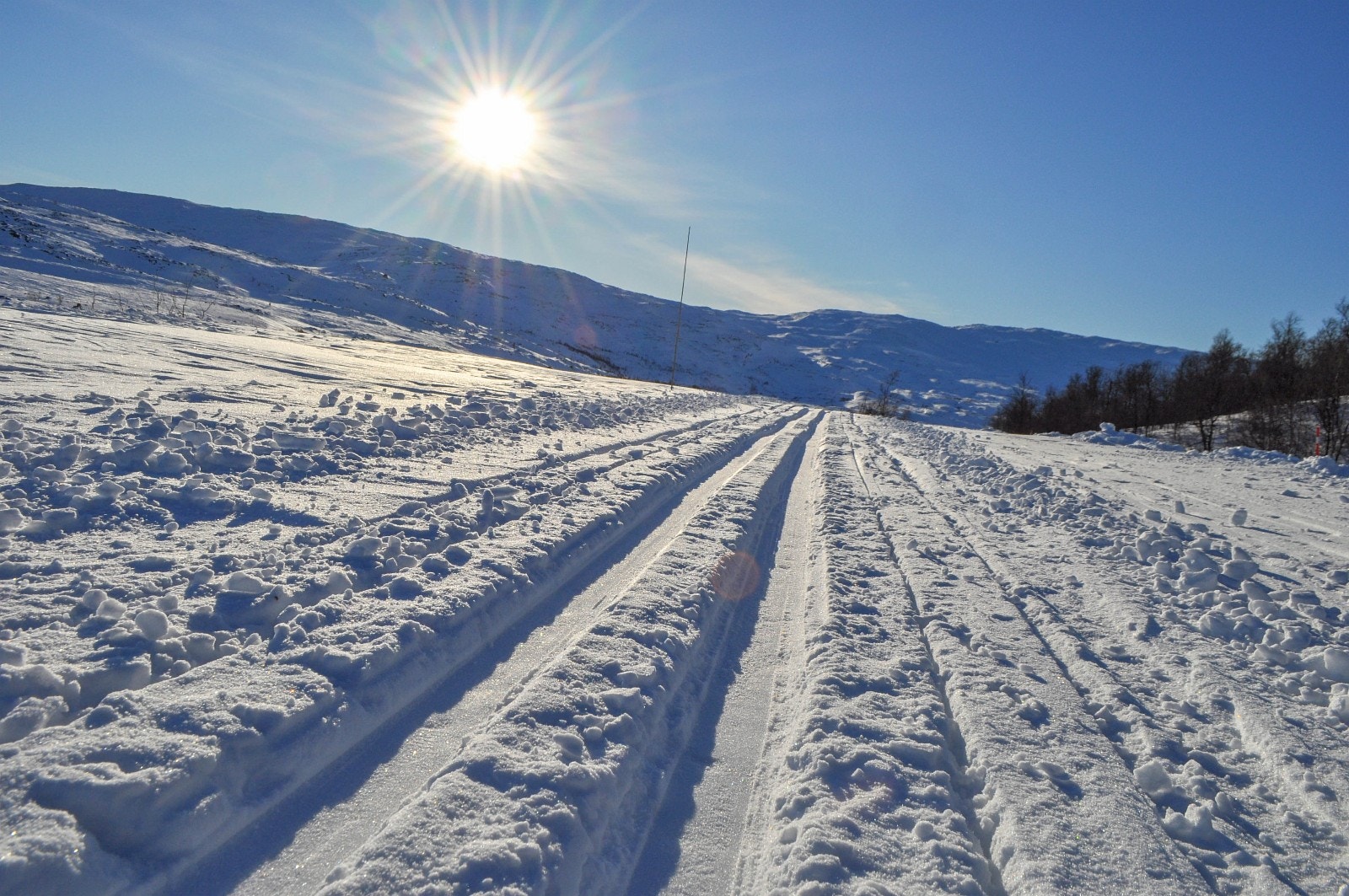 Tomteområdet i Skorovas er tilknyttet et relativt omfattende lokalt oppkjørt løypenett Galleribilde