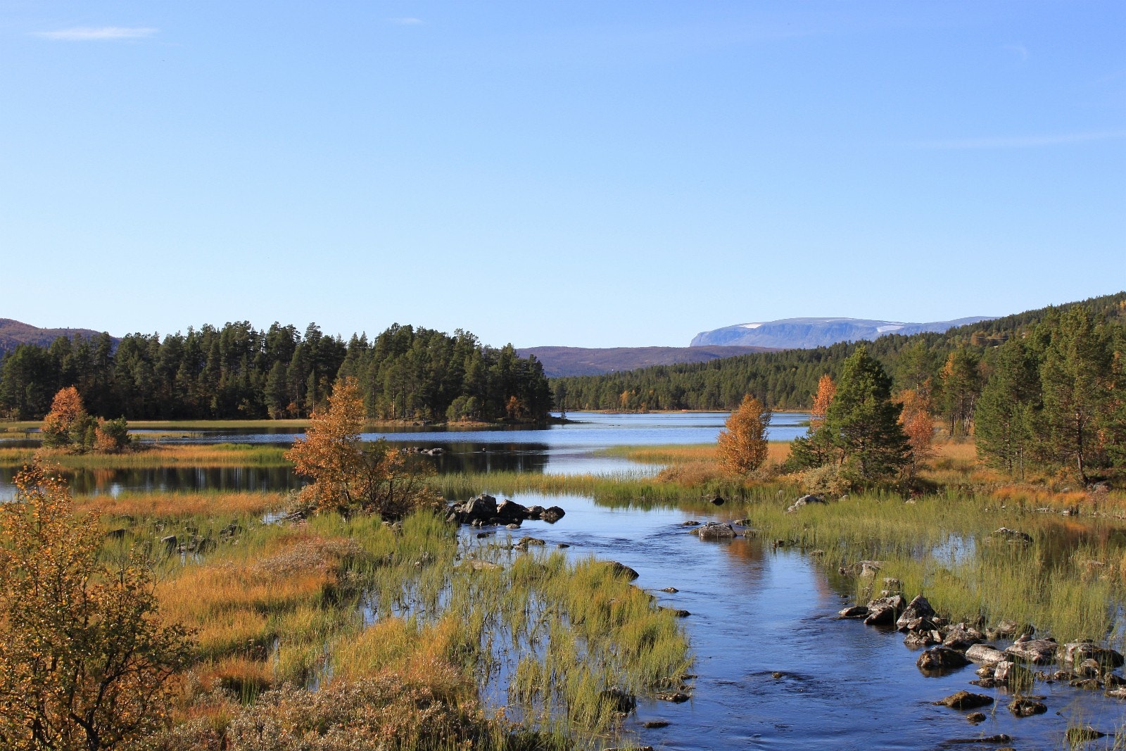 Skurdalen er rik på natur. Et eldorado for deg som liker friluftsliv av forskjellig slag! Galleribilde