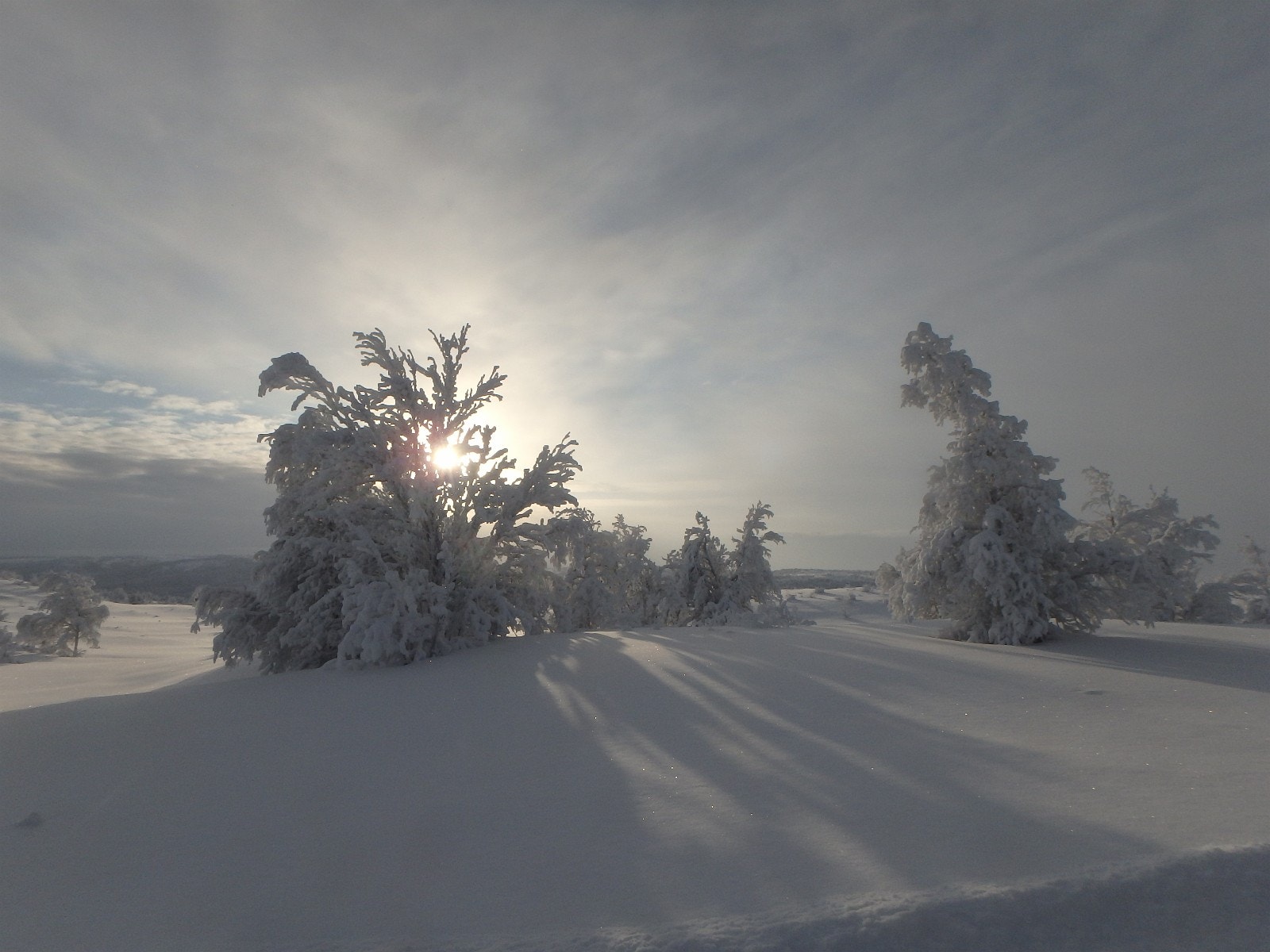 Kalde vinterdager har også sin sjarm! Galleribilde