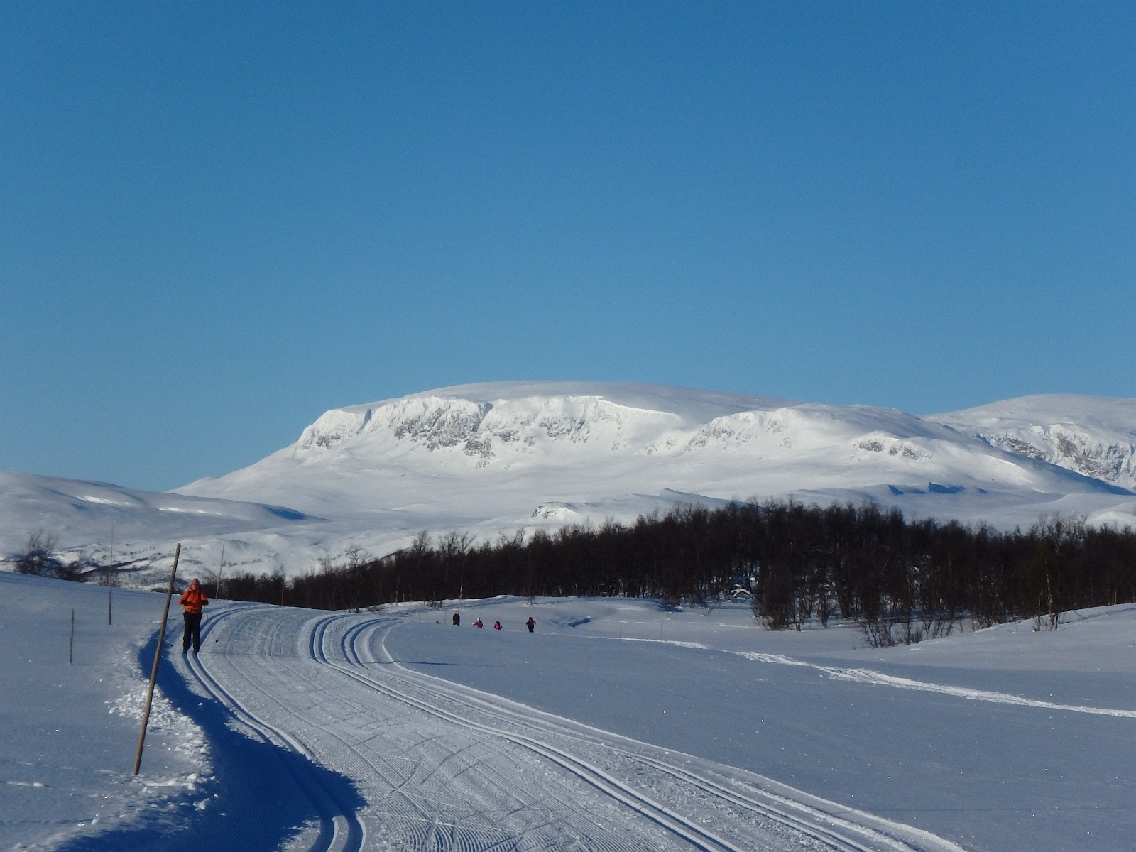 Vinter på Skurdalsåsen. Mange forskjellige løypetrasèr å velge i ; her løype på Skurdalsåsen Galleribilde