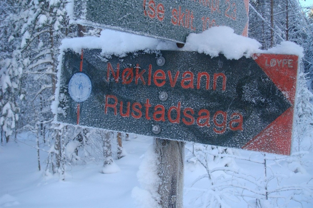 Østmarka byr på fantastiske turmuligheter sommer som vinter Galleribilde