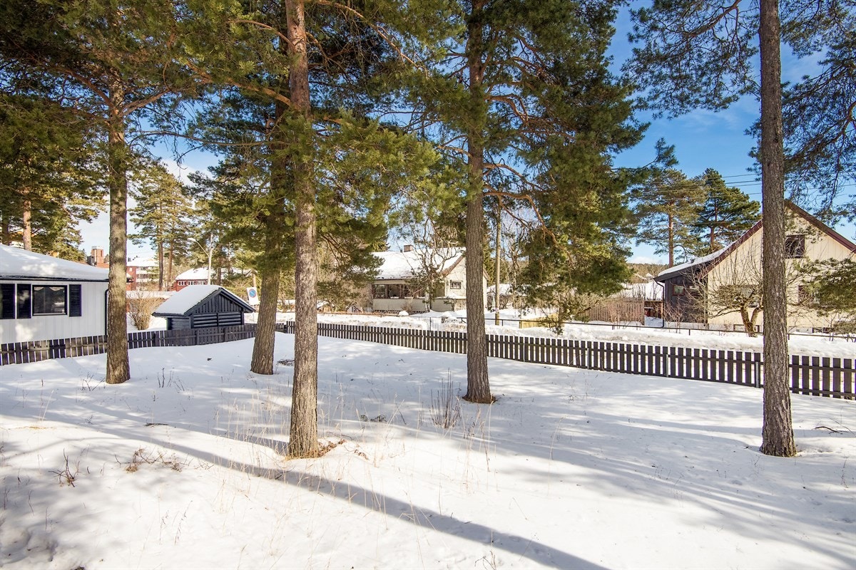 Romslig og relativt flat tomt. Galleribilde