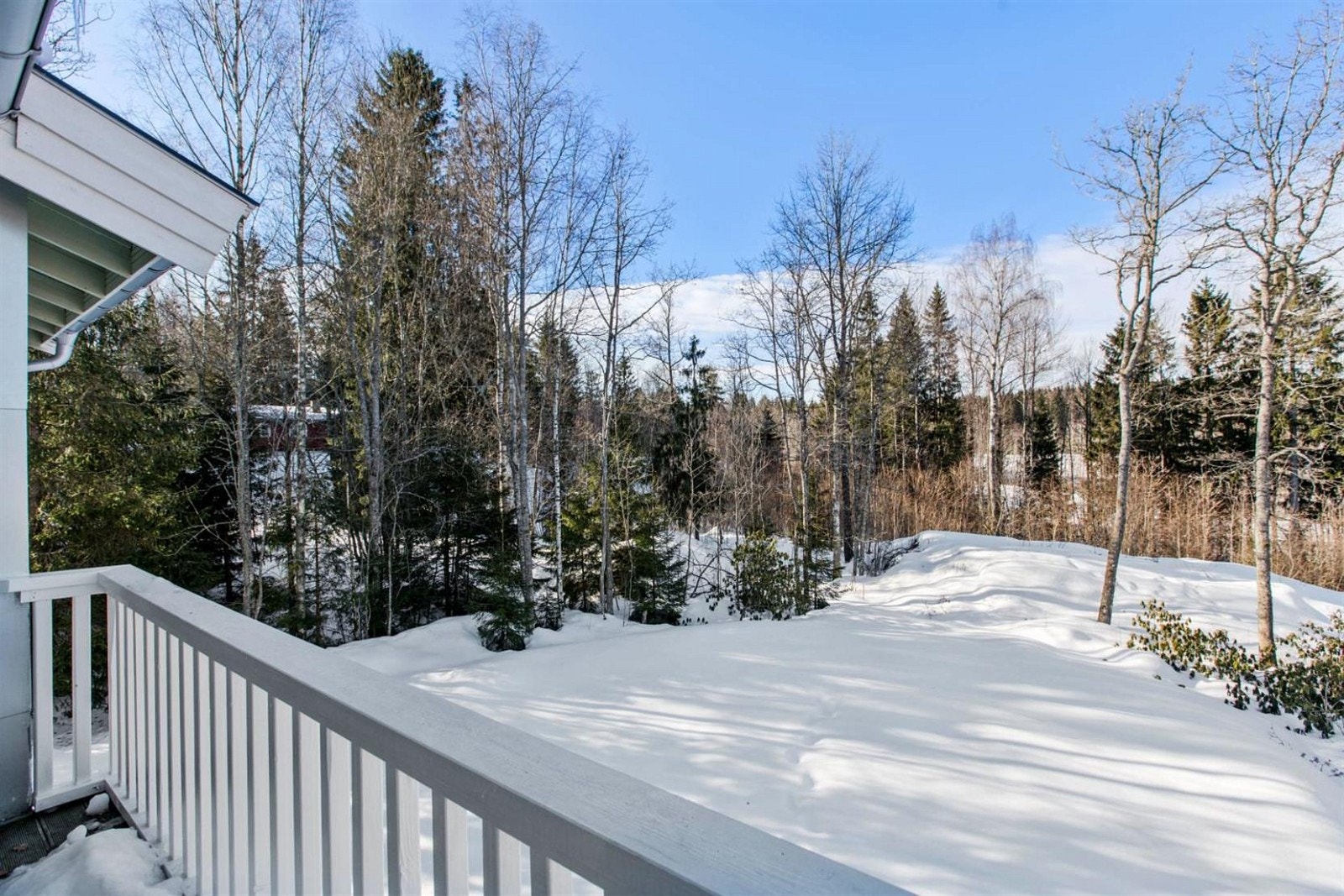 Naturlig utstyn. Galleribilde