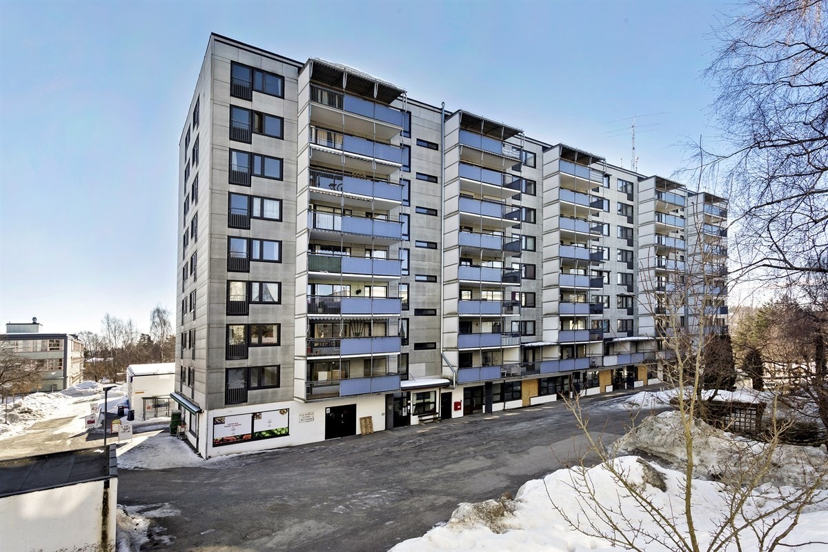 Fasade. Galleribilde