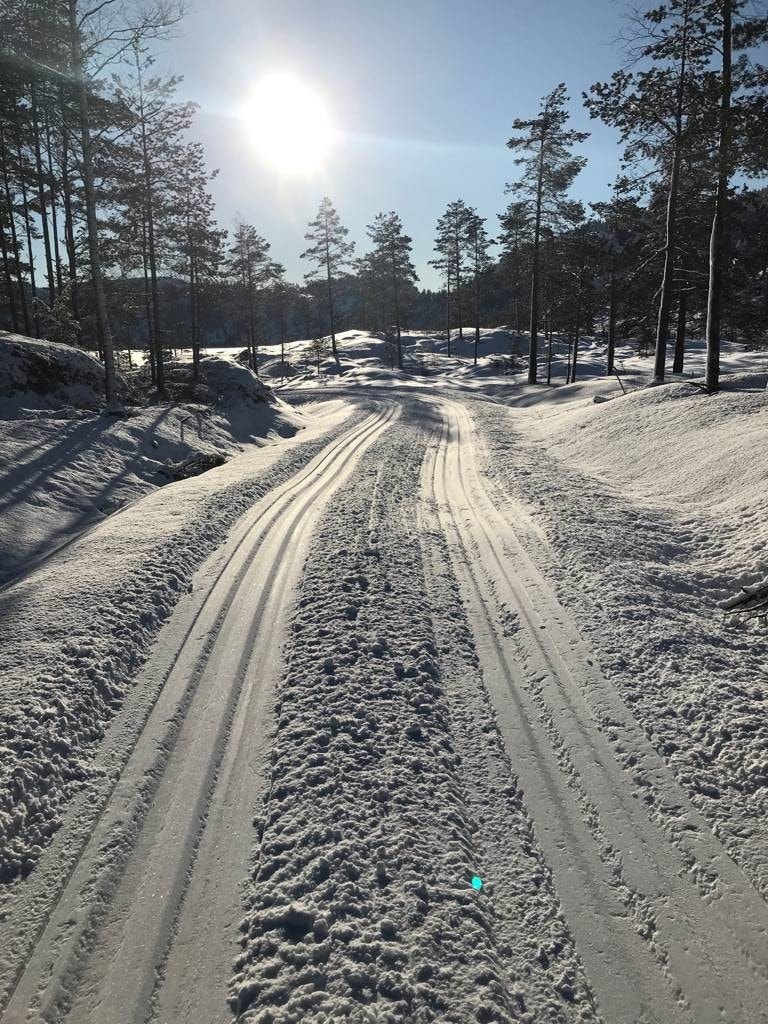 Oppkjørt skiløype på 5,7km ved hyttefeltet. Galleribilde