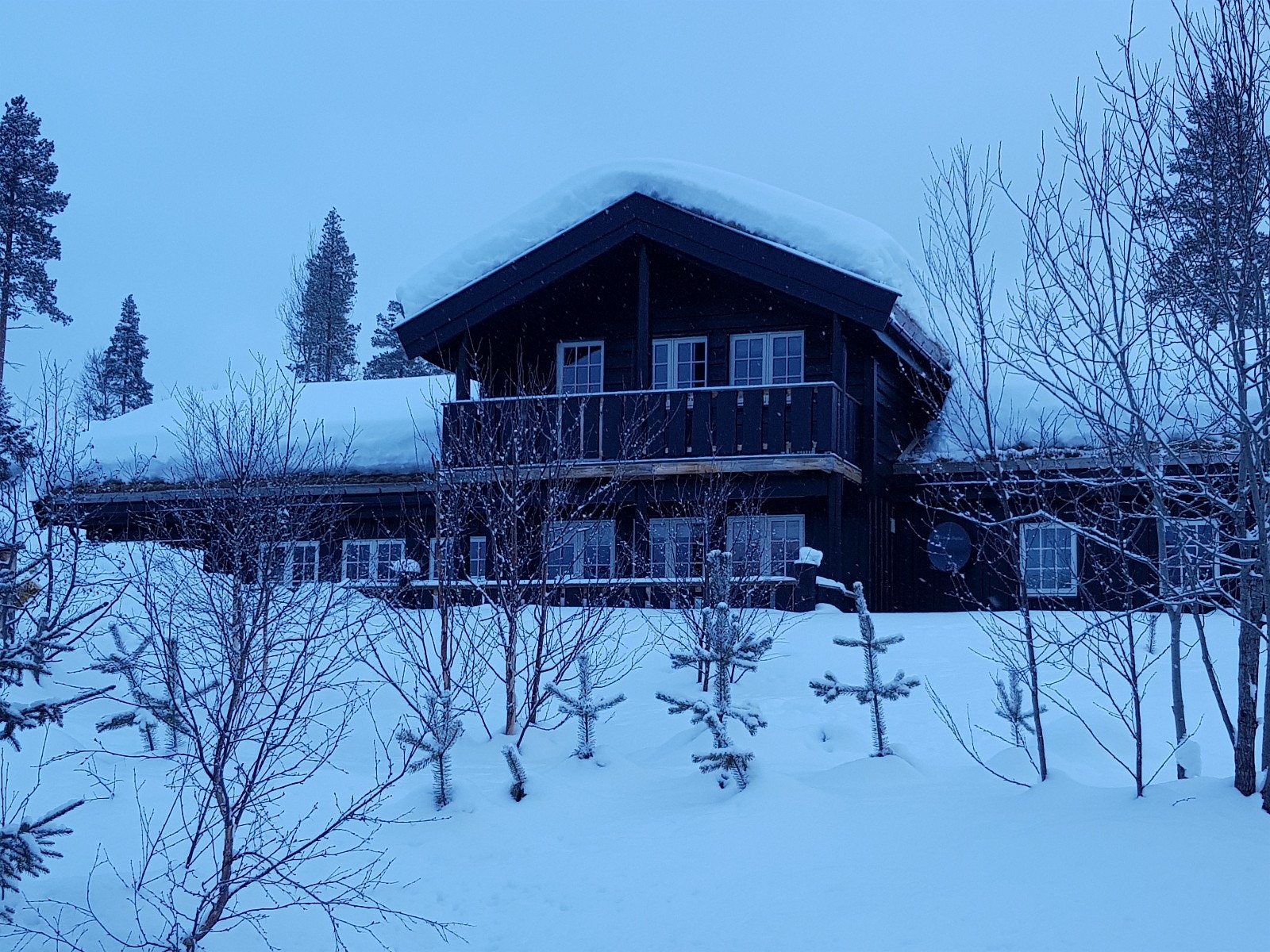 Feb.2018 Galleribilde