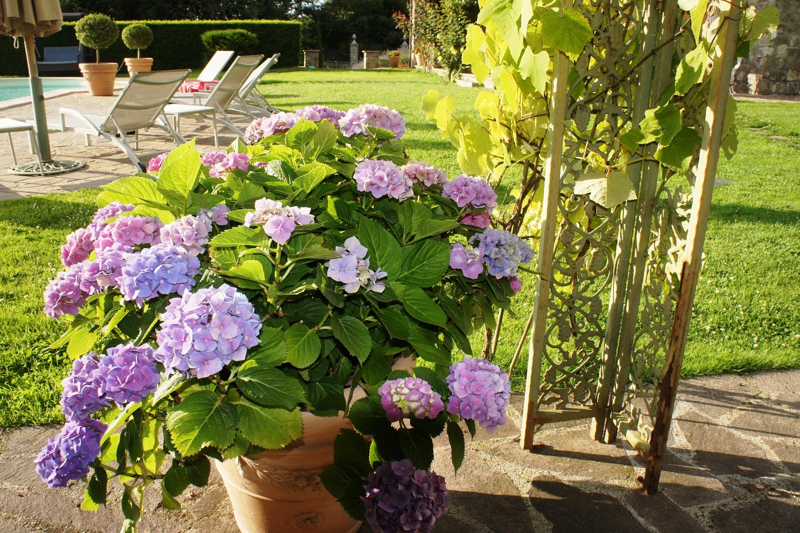 Detalj hagen Galleribilde