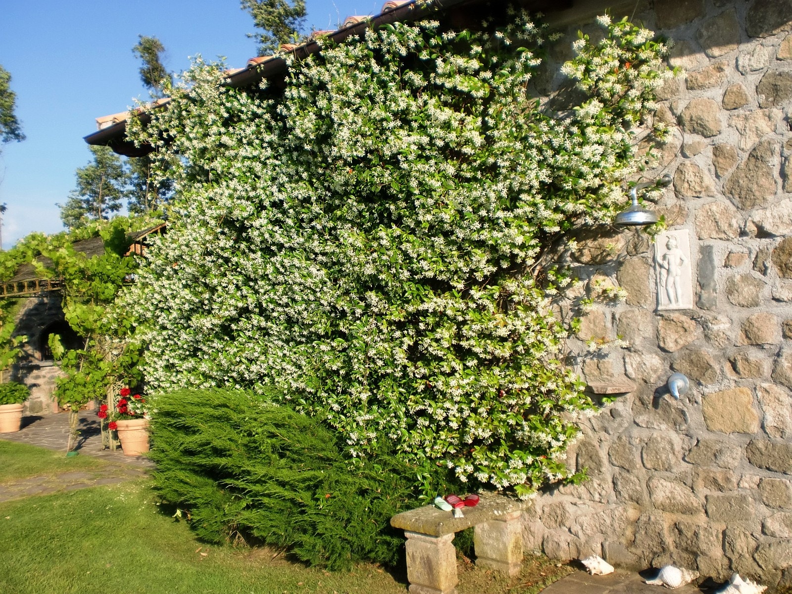 Sjasmin veggen - poolhouse - utedusj m/varmtvann Galleribilde