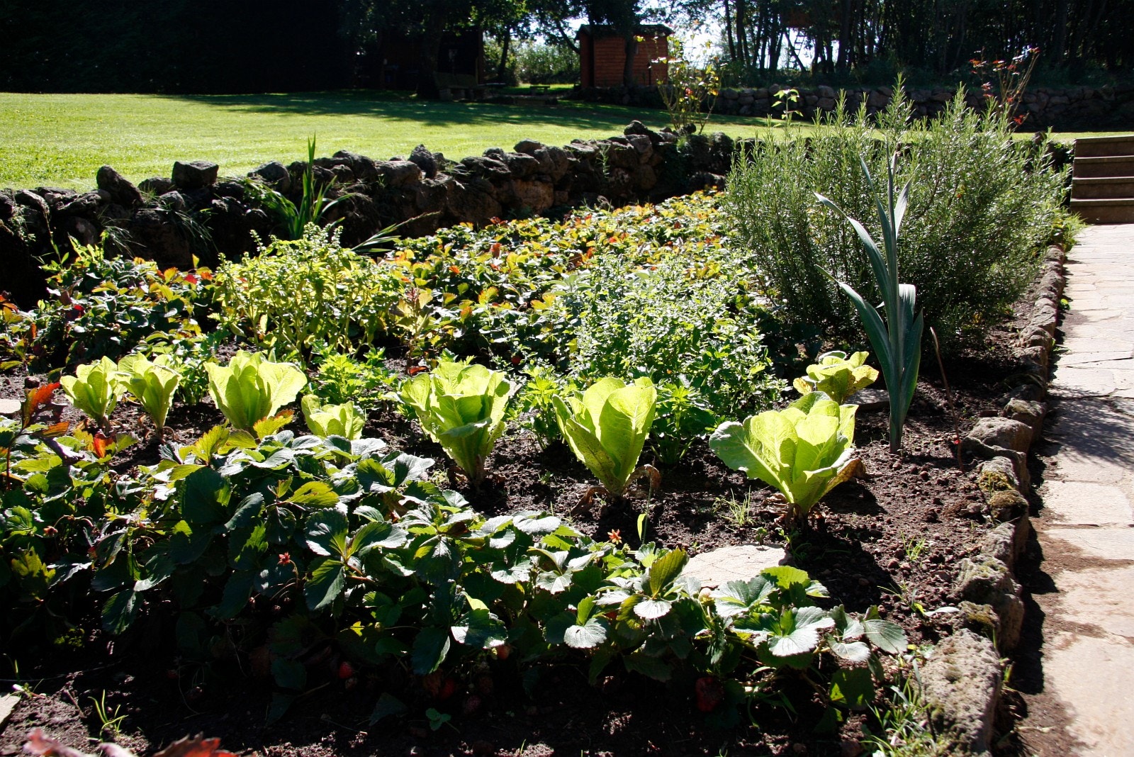 Stor kjøkken hage Galleribilde