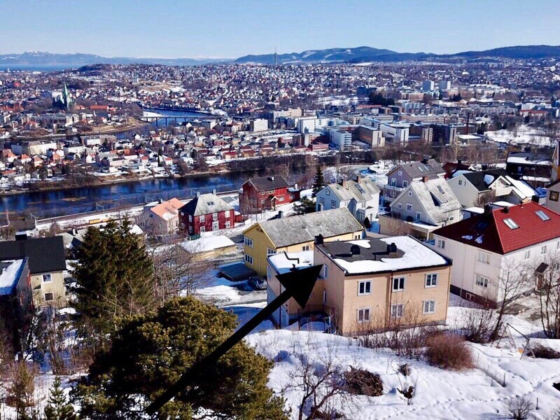 Mot samfunnet og St Olavs hospital Galleribilde